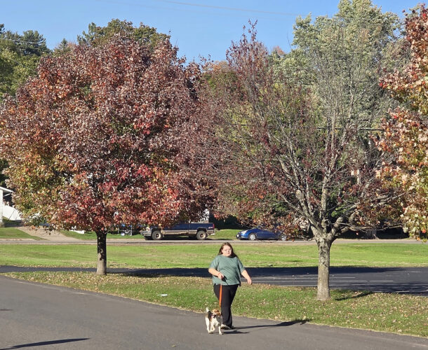 Forecast turns neutral for fall and winter